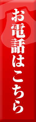 電話ボタン